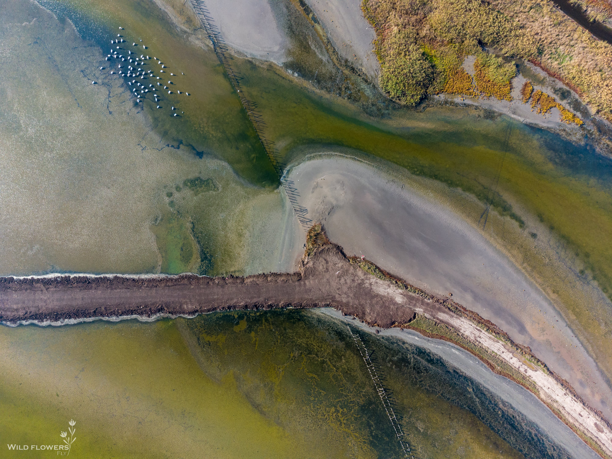 Атанасовско езеро - сн. Спас Узунов.jpg