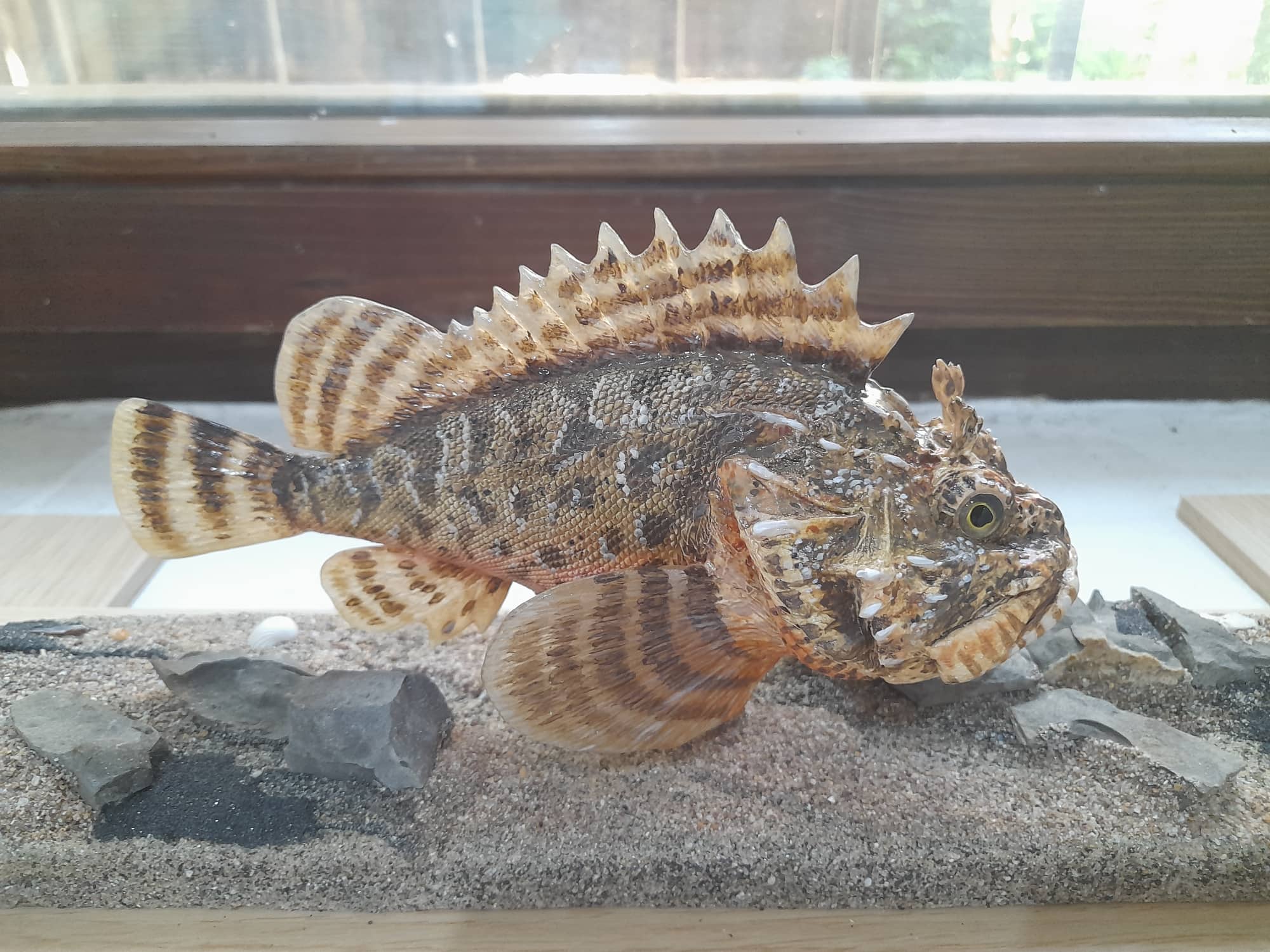 Изложба РИМ Бургас