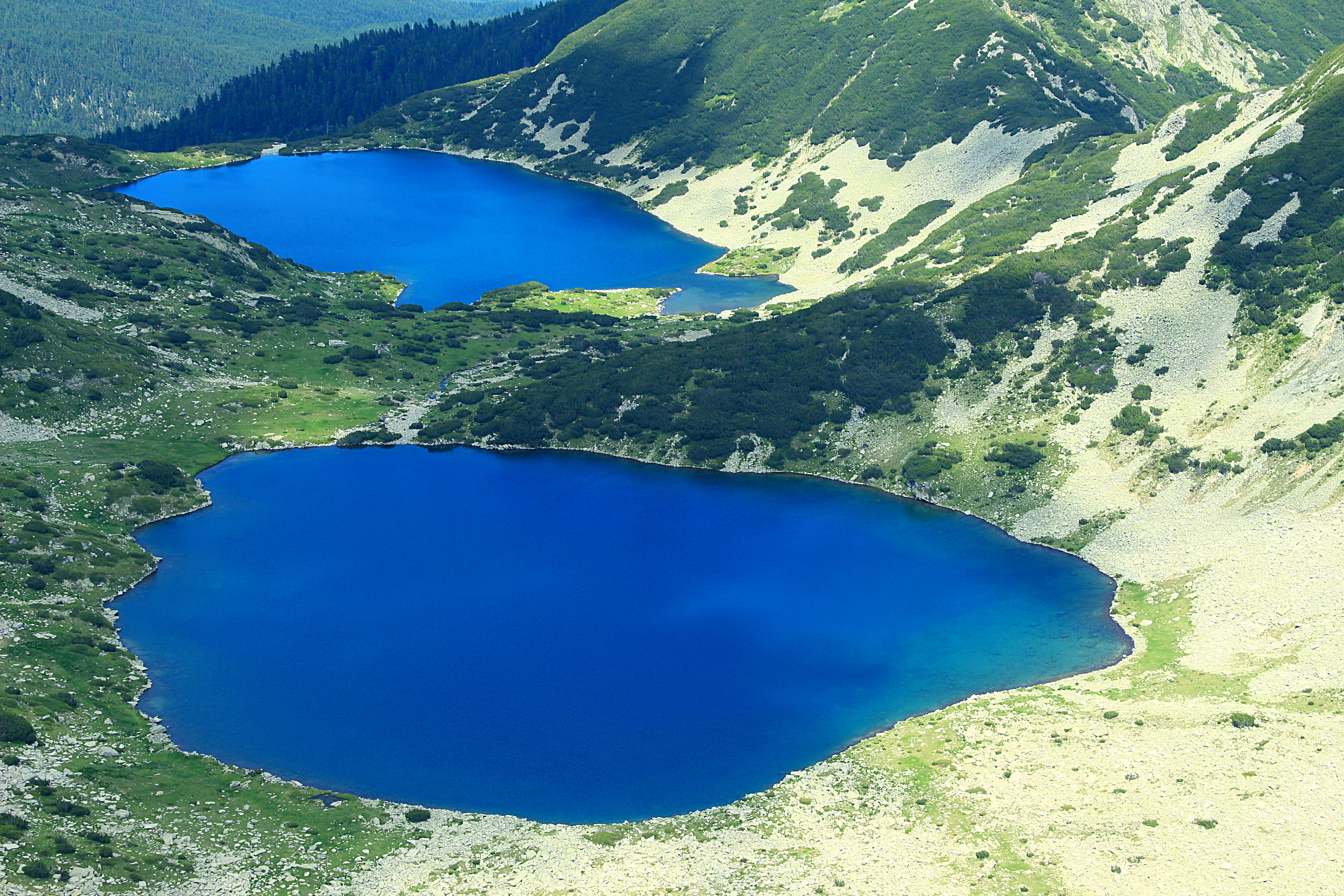 pirin plamen samuilov (15).jpg