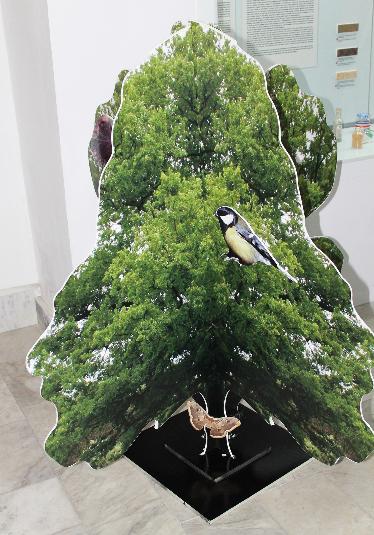 otkrivane na izlojba Ot jalad do vekovno darvo-1.jpg