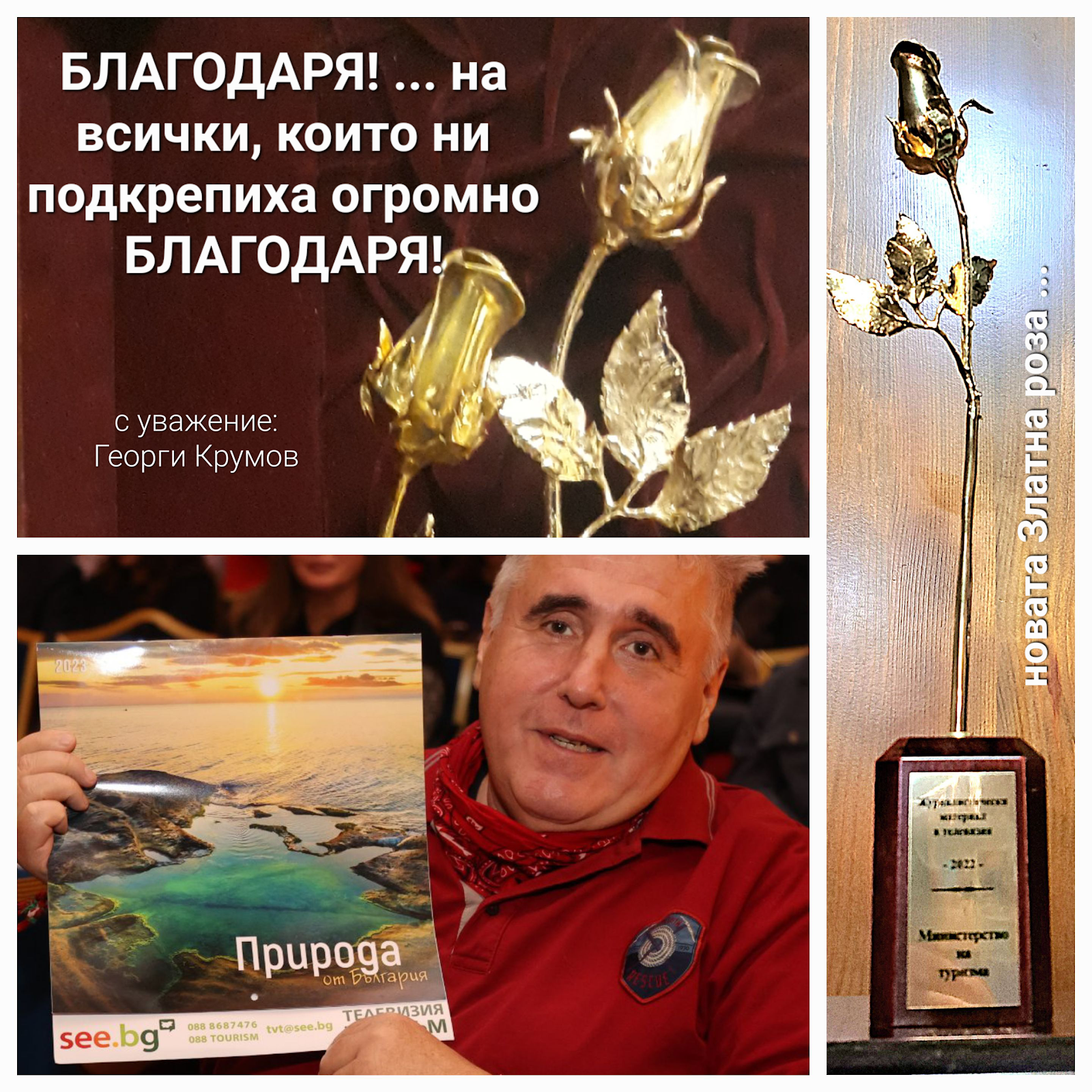 Нова златна роза.png