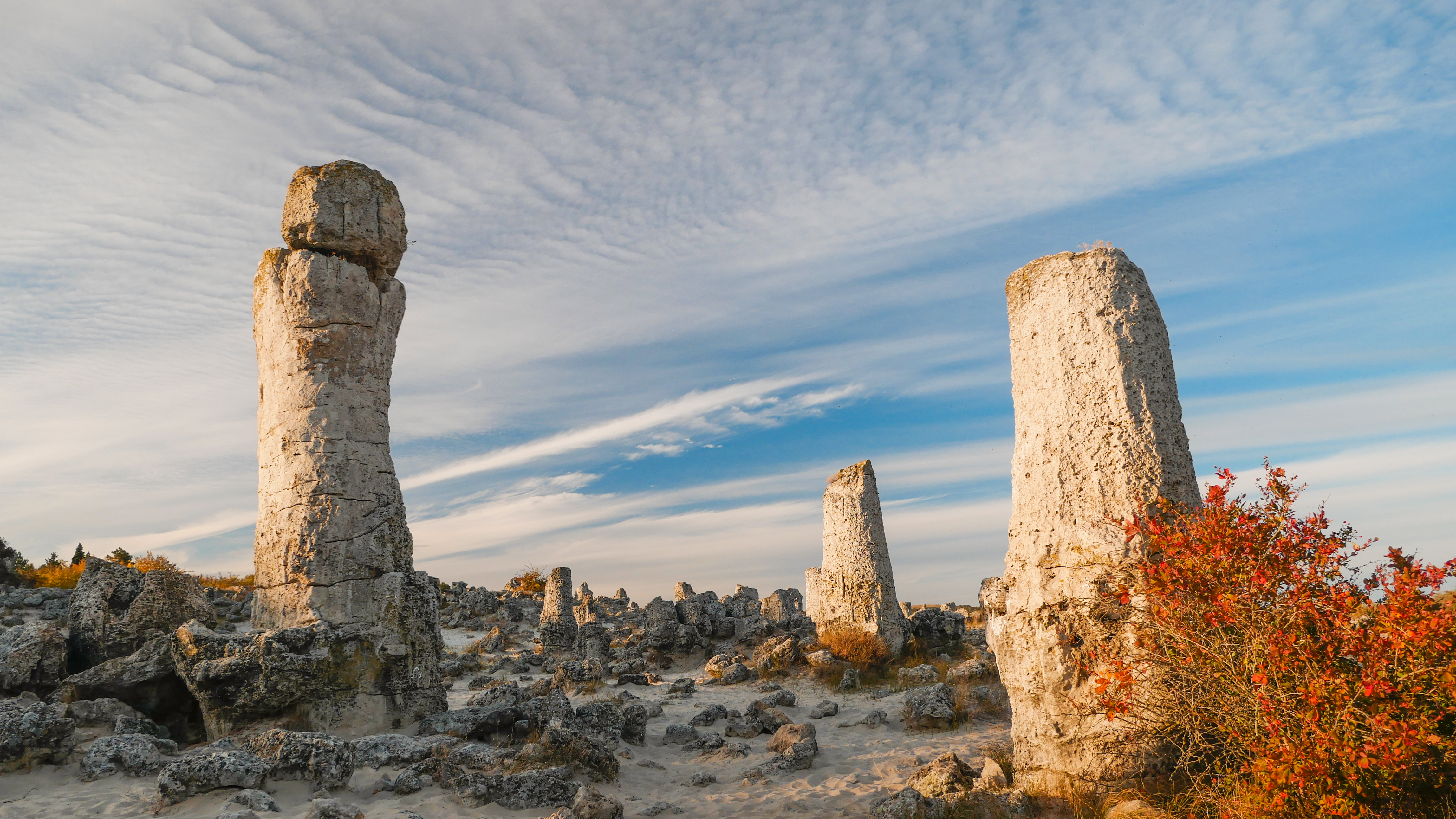 Pob kamani - Niki Manolov TVT (3).JPG