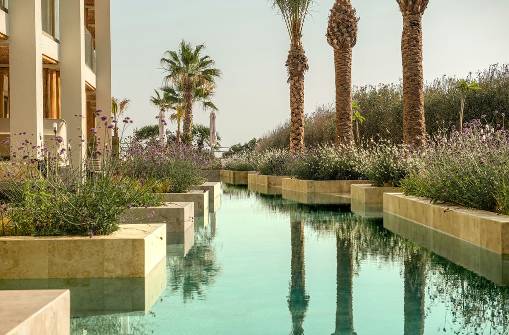 mitsis_КРИТ ГРАДИНА.jpeg