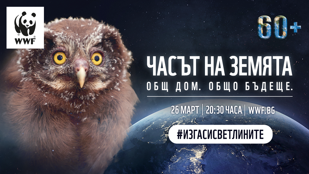 Часът на земята 2022 - KV-1280x720-owl.png