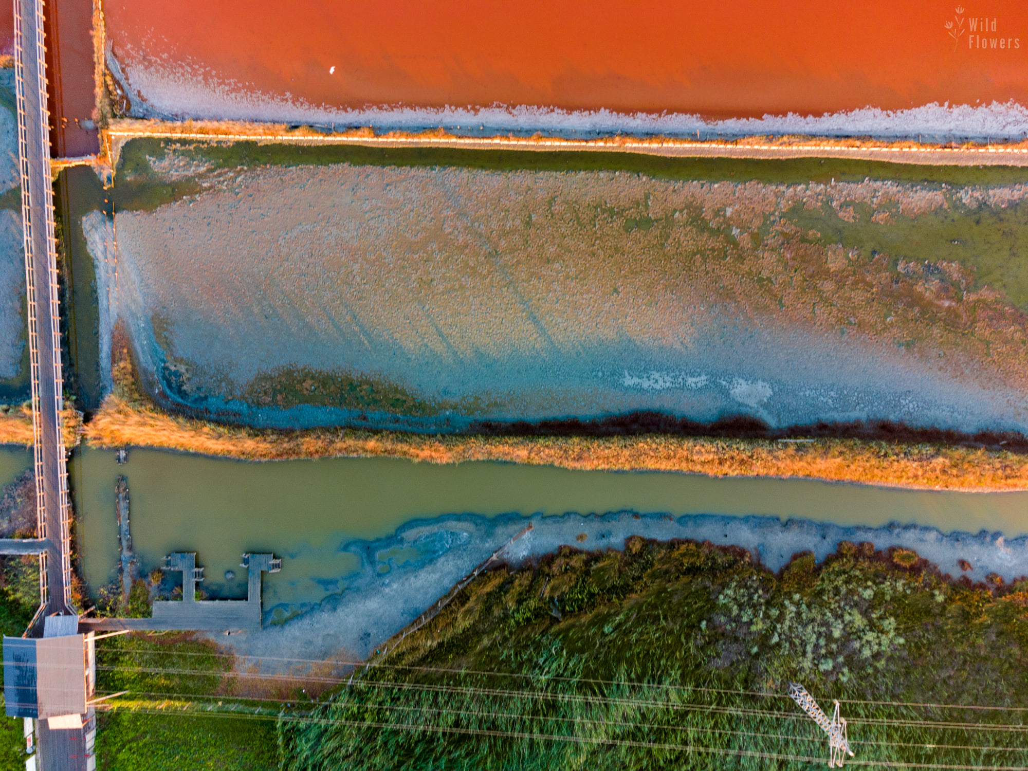 Атанасовско езеро - сн. Спас Узунов.jpg