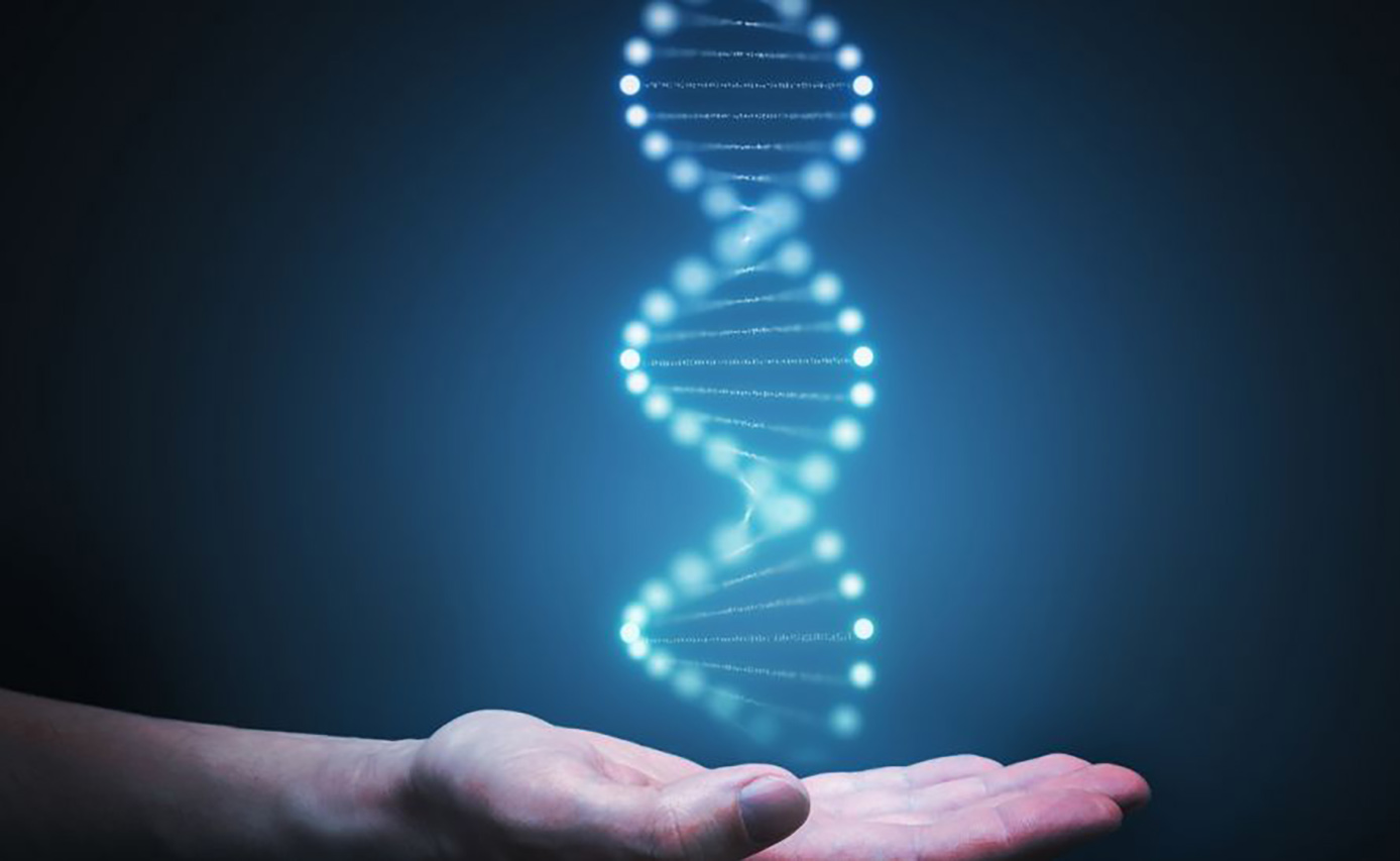 RIM-Burgas - pres paleogen2.jpg