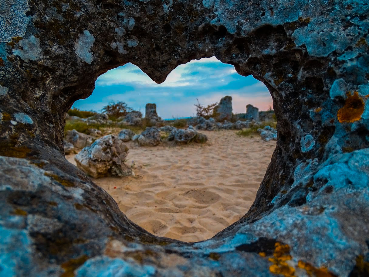 Pob kamani - Niki Manolov TVT (1).jpg