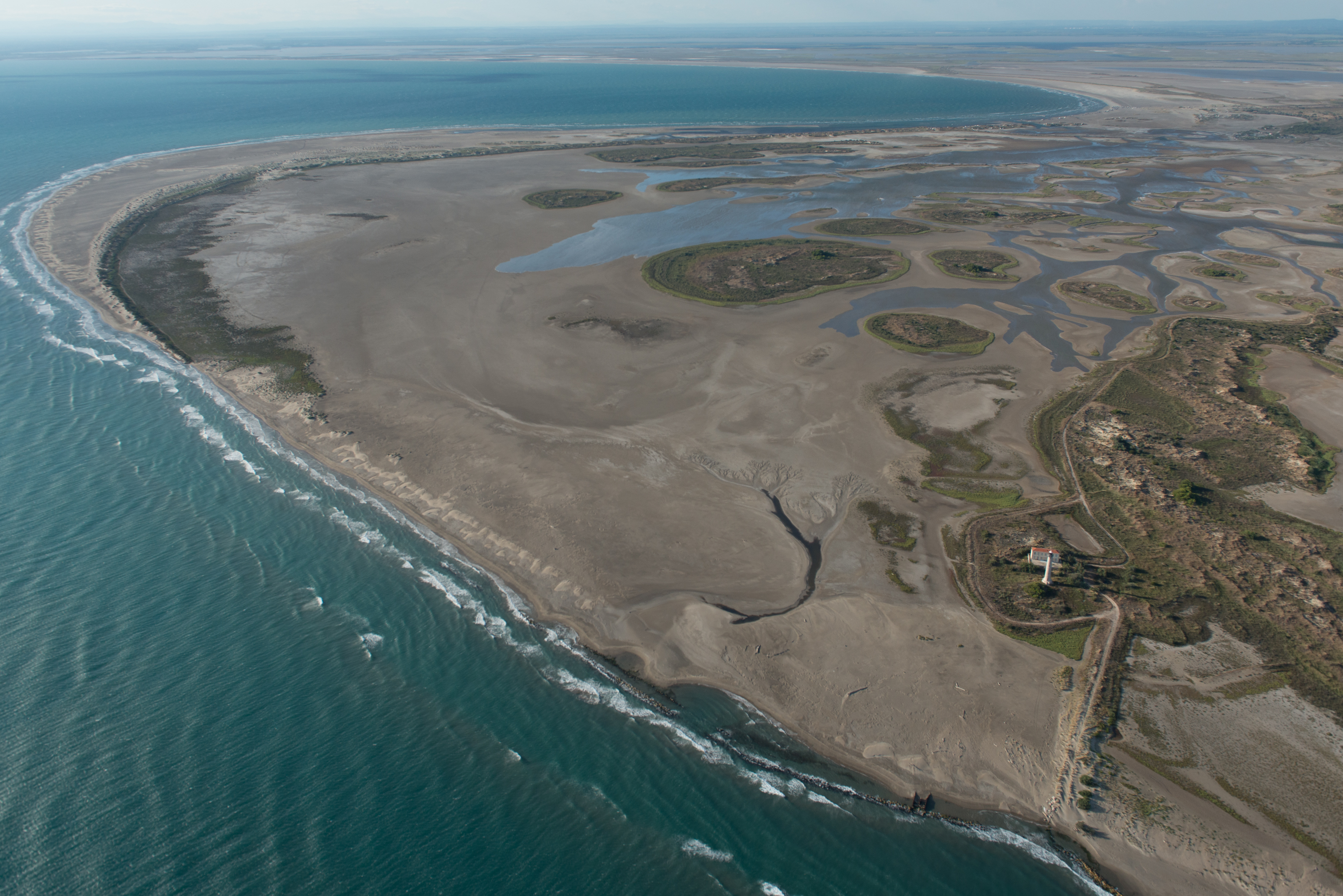 Camargue_photo_Jean E Roch%U00E9.jpg