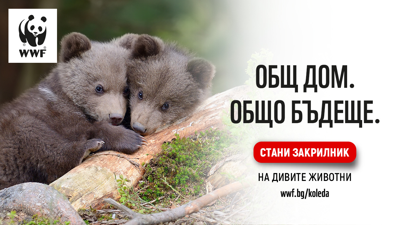 Key Visual 1280x720.jpg