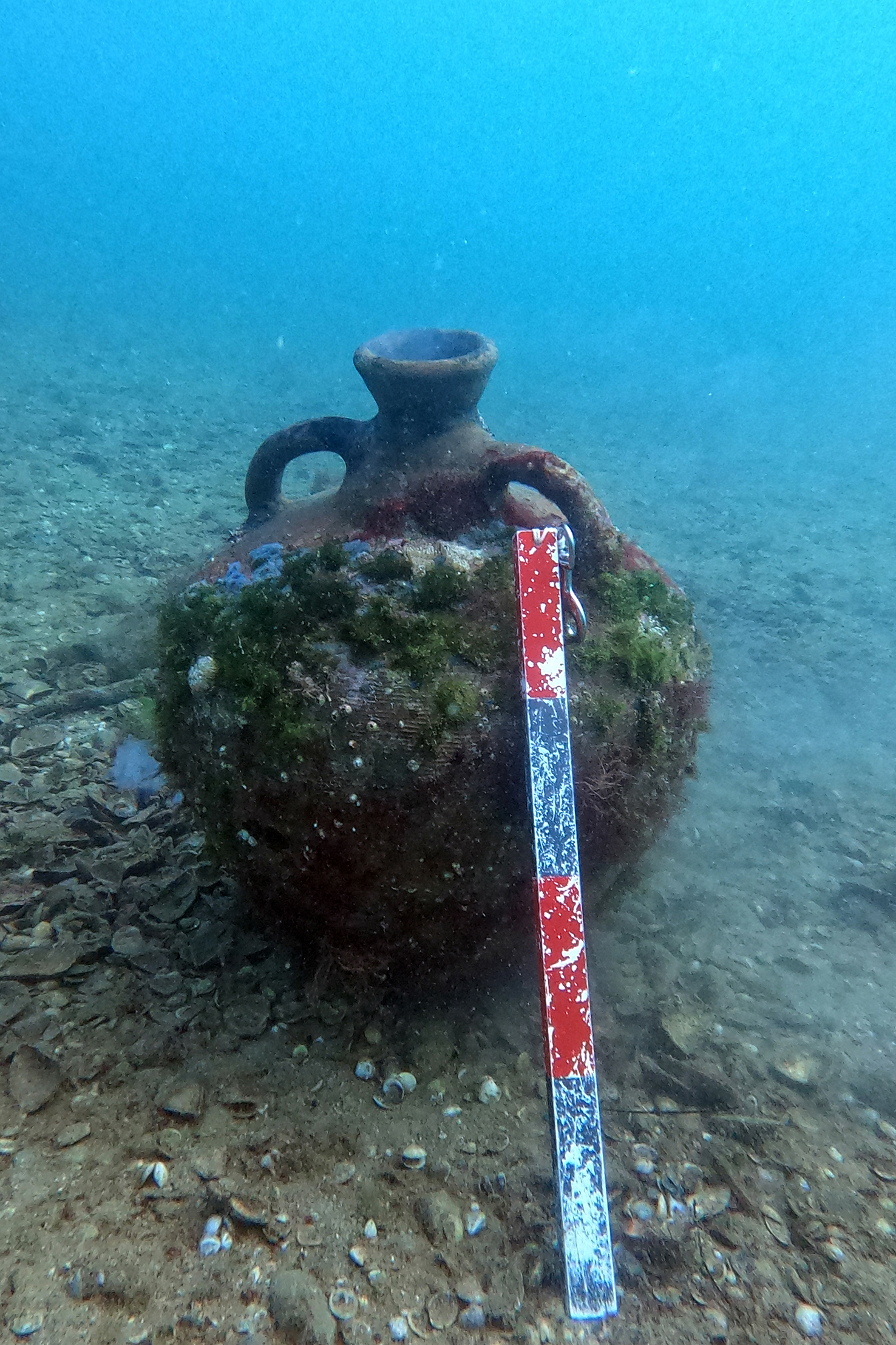 Късноантична амфора за зехтин.jpg