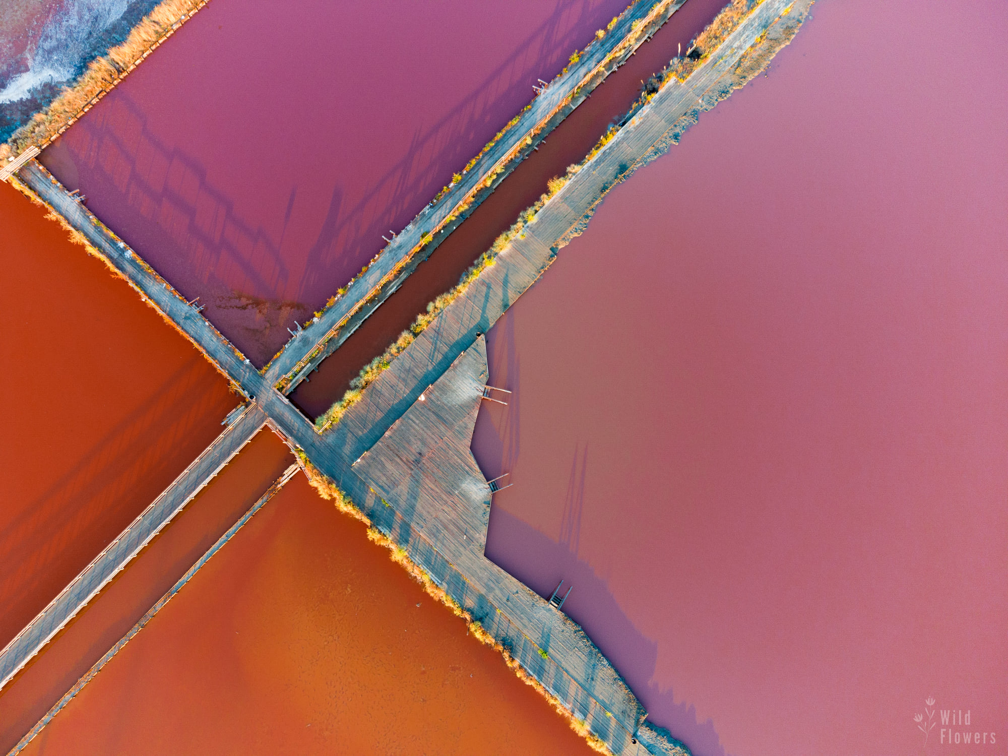 Атанасовско езеро - сн. Спас Узунов.jpg