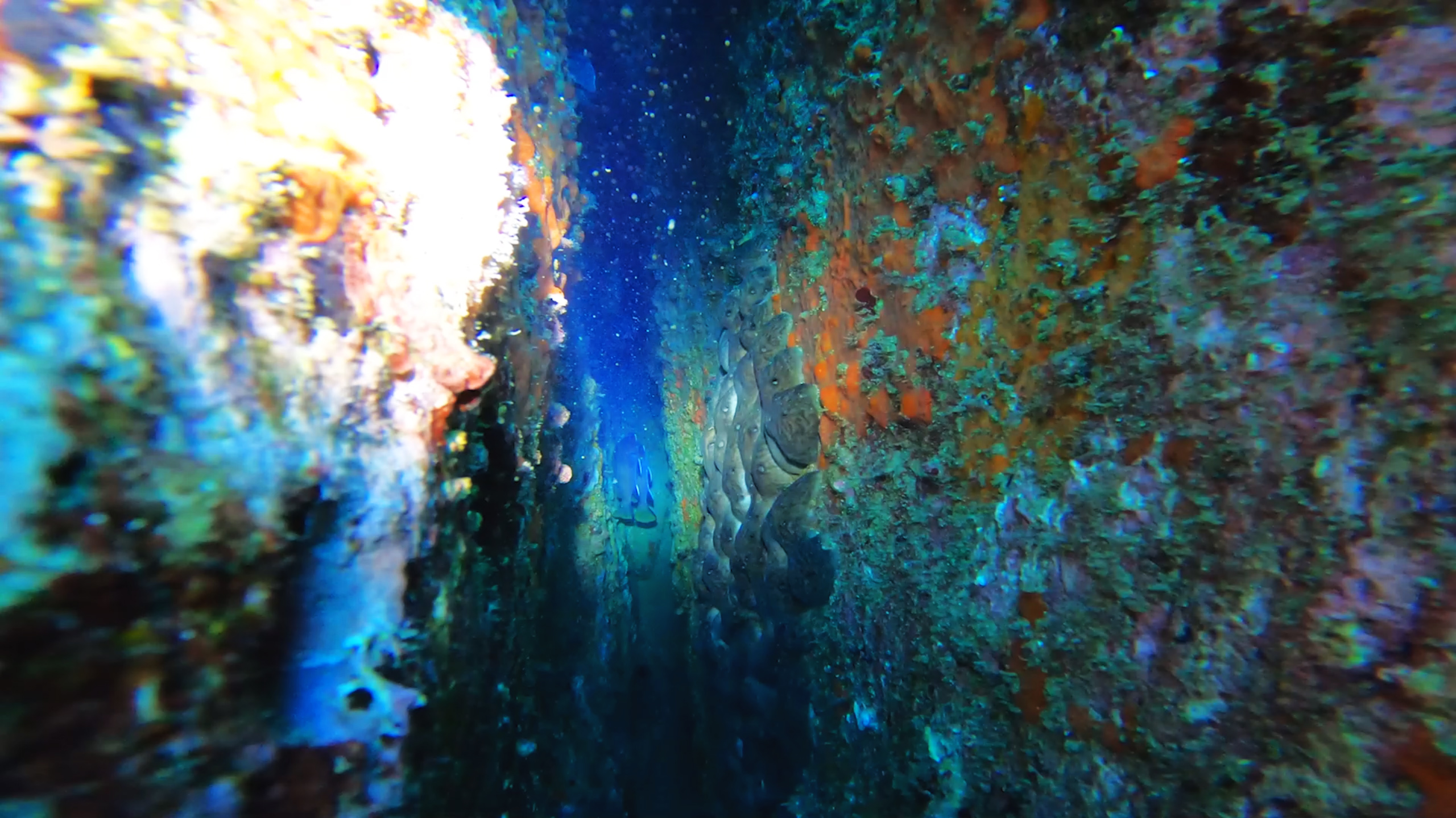 Sinqtq stihiq - Vukadinov (4).jpg