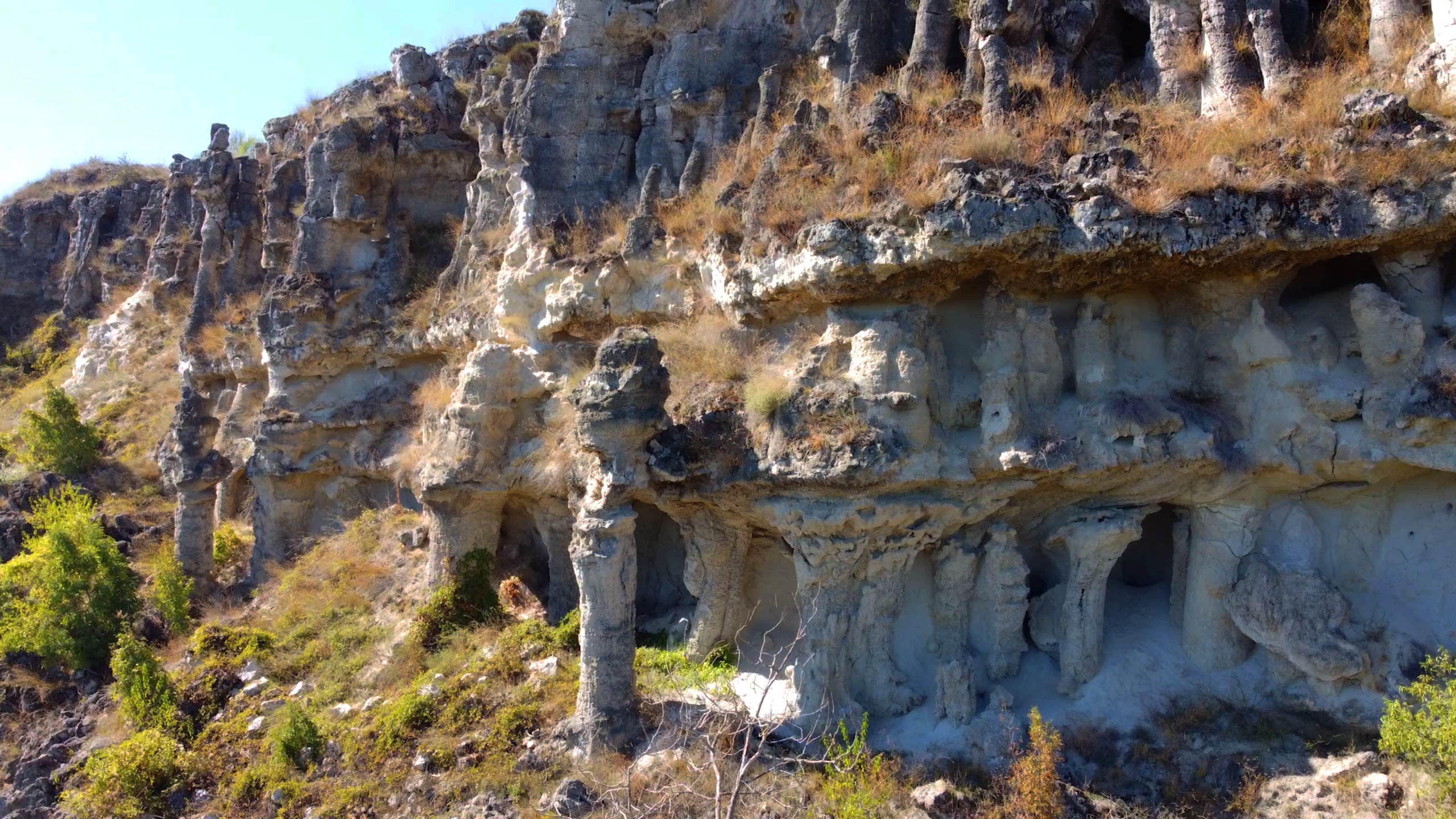 Pob kamani - Niki Manolov TVT (2).jpg