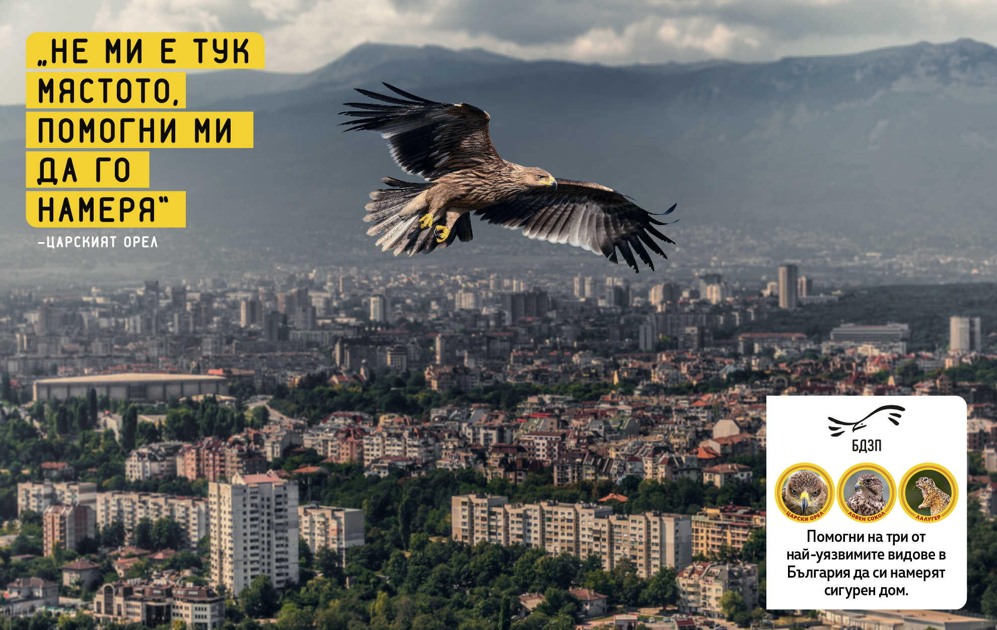 BDZP_Carski Orel.jpg