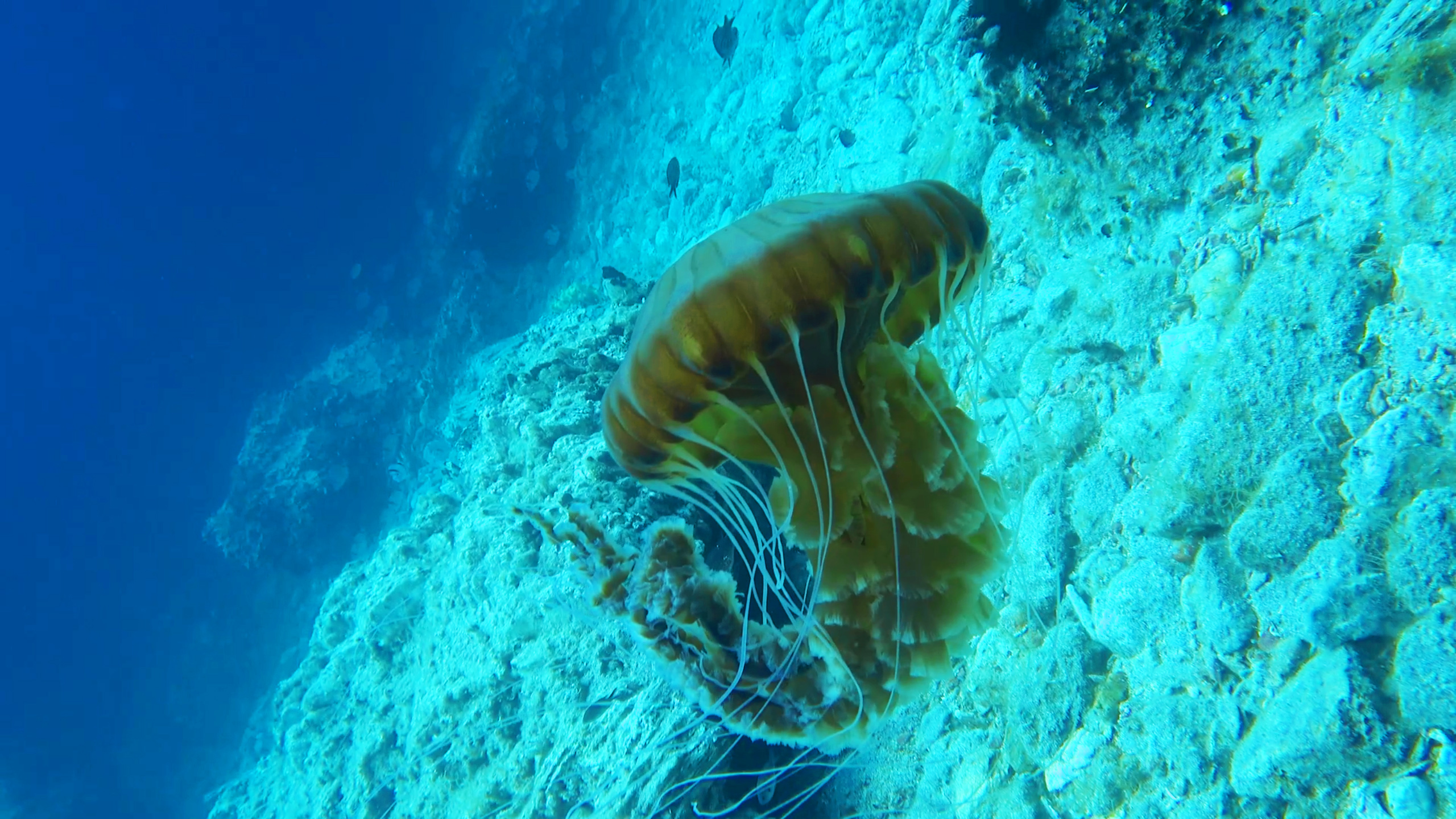 Sinqtq stihiq - Vukadinov (2).jpg