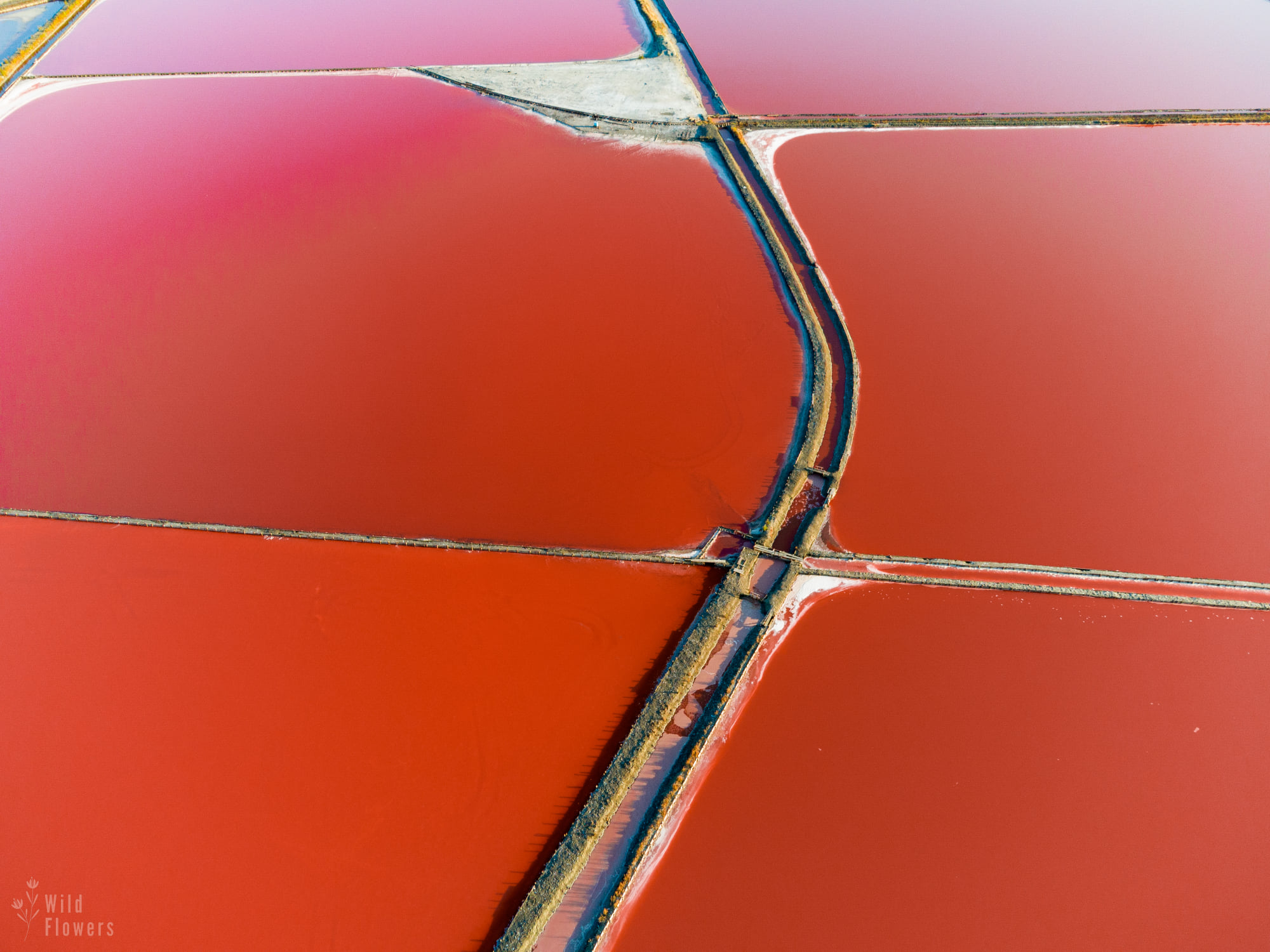 Атанасовско езеро - сн. Спас Узунов.jpg