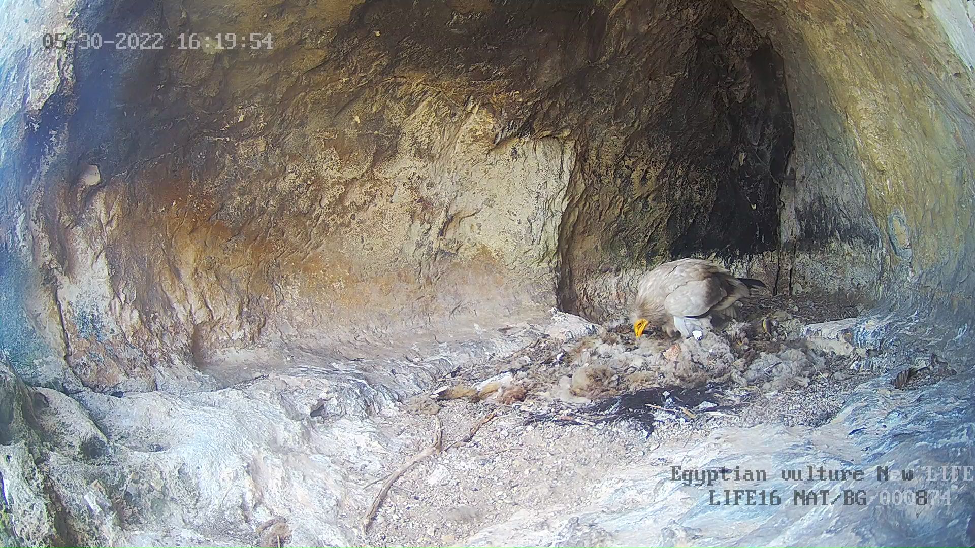 provadia zapisi_IP Camera1_provadia zapisi_20220530161954_127310.jpg