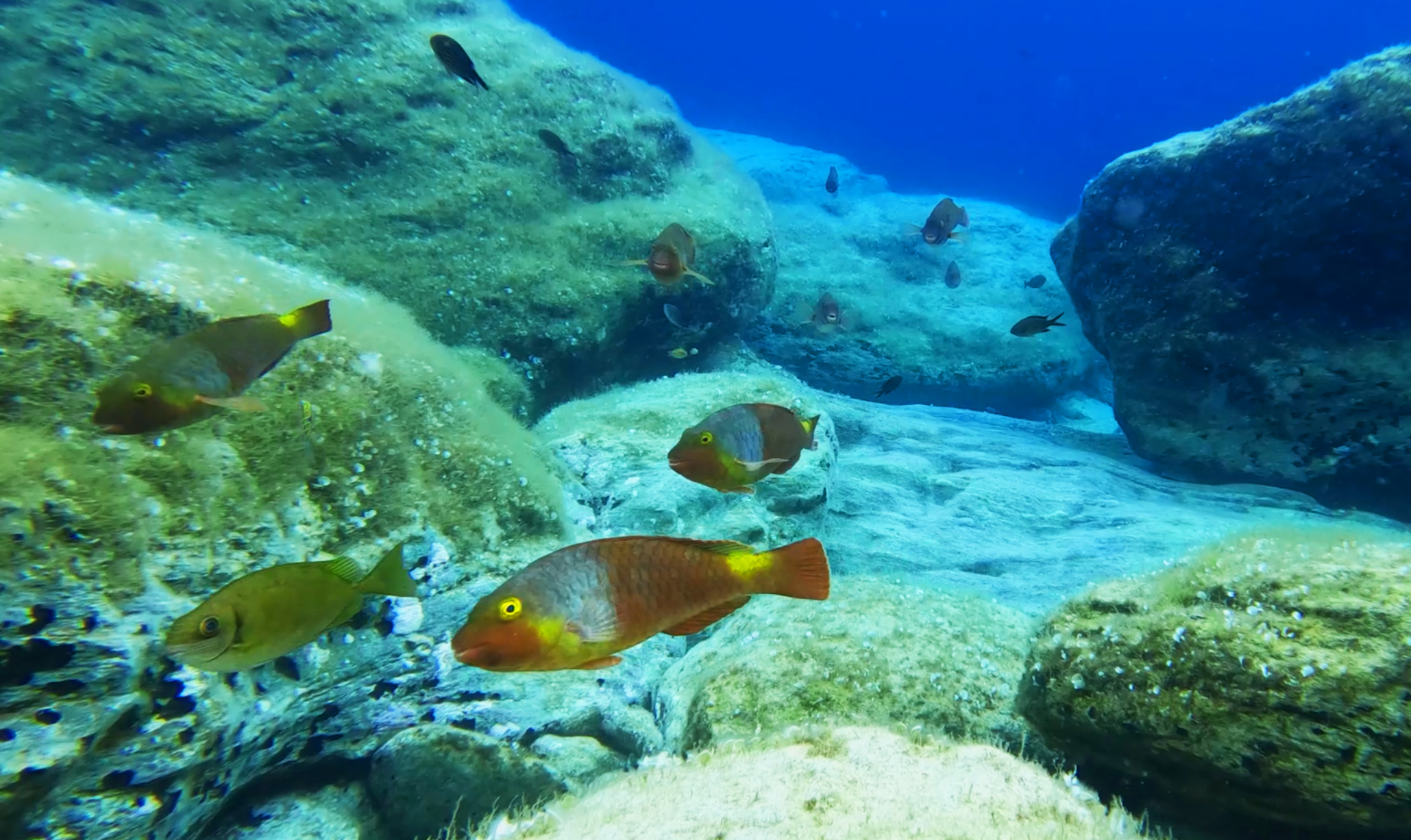 Sinqtq stihiq - Vukadinov (6).jpg