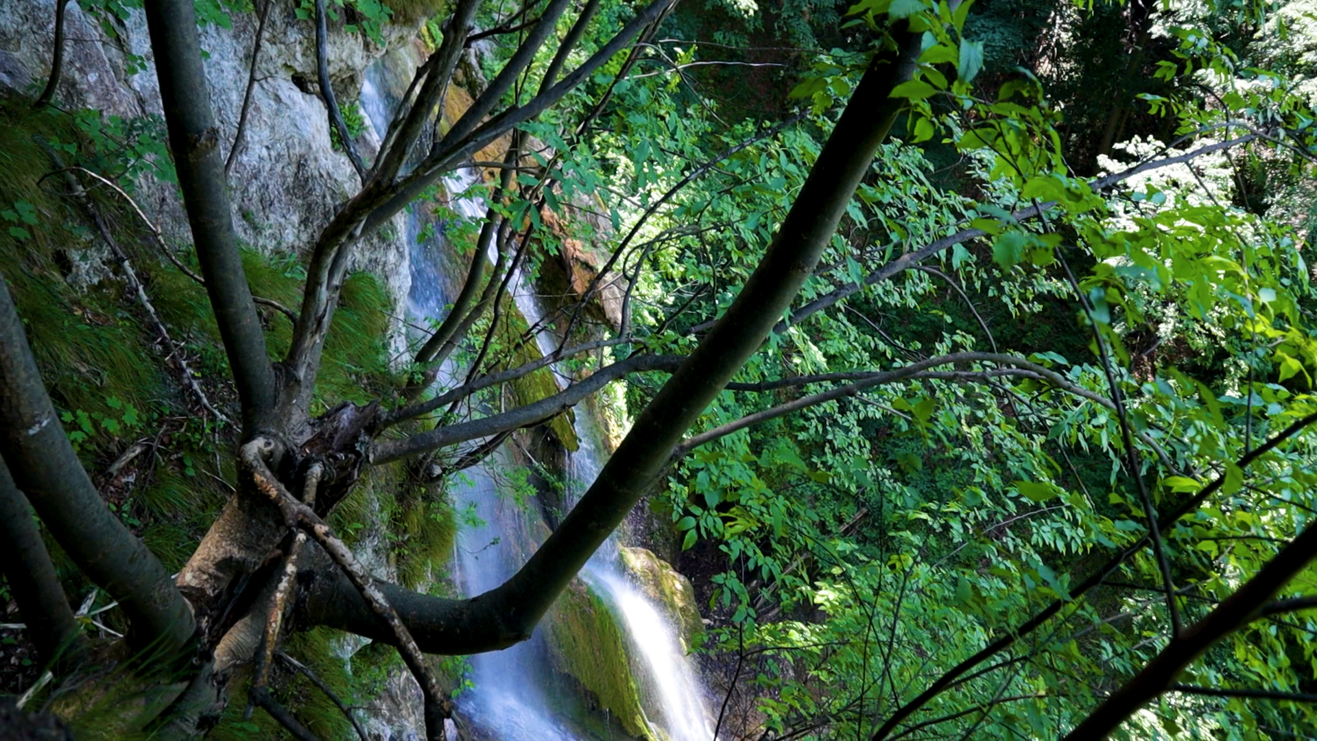 Kadar Slivodolskoto padalo 20.jpg