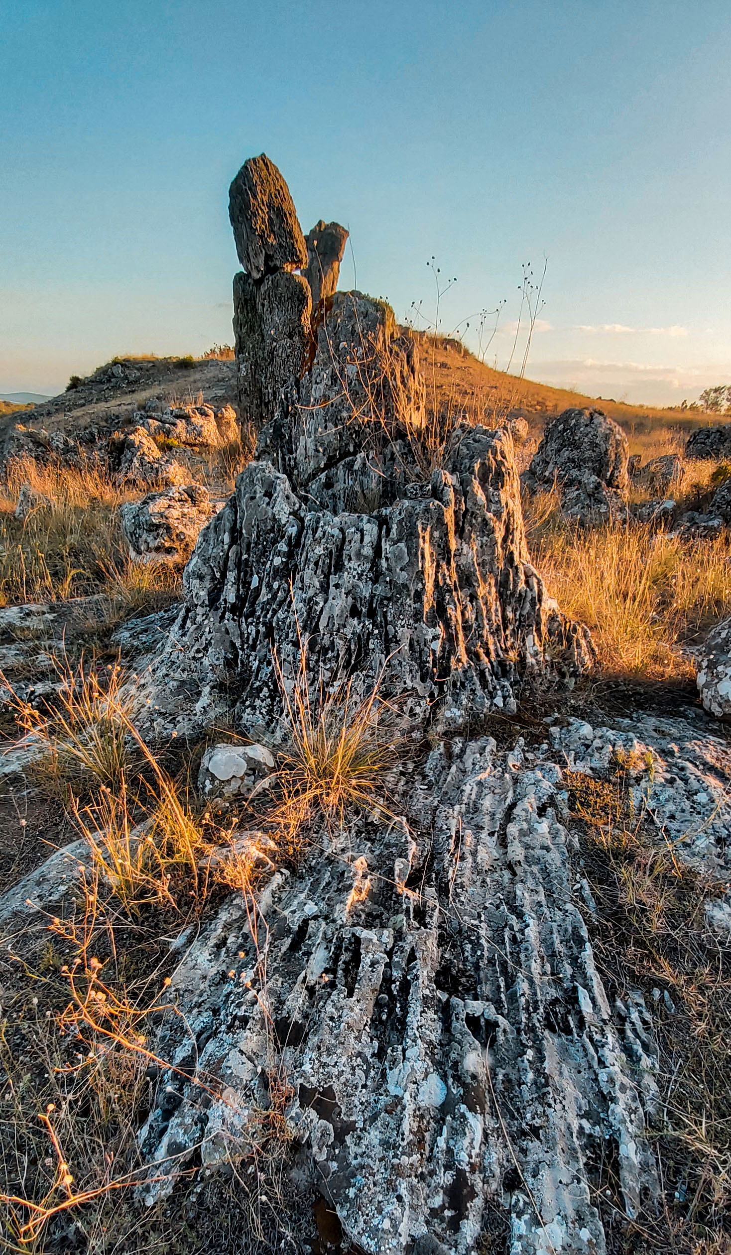 Pob kamani - Niki Manolov TVT (5).jpg